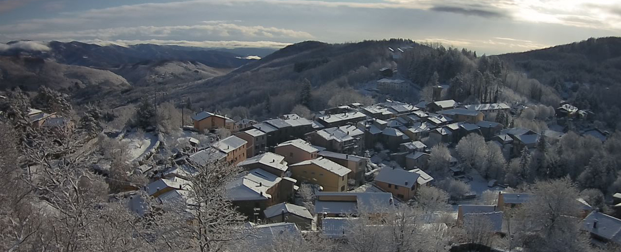PLPrunetta